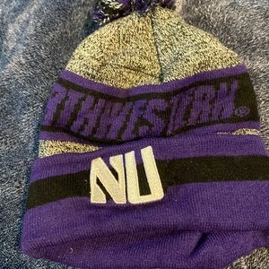 Northwestern winter hat